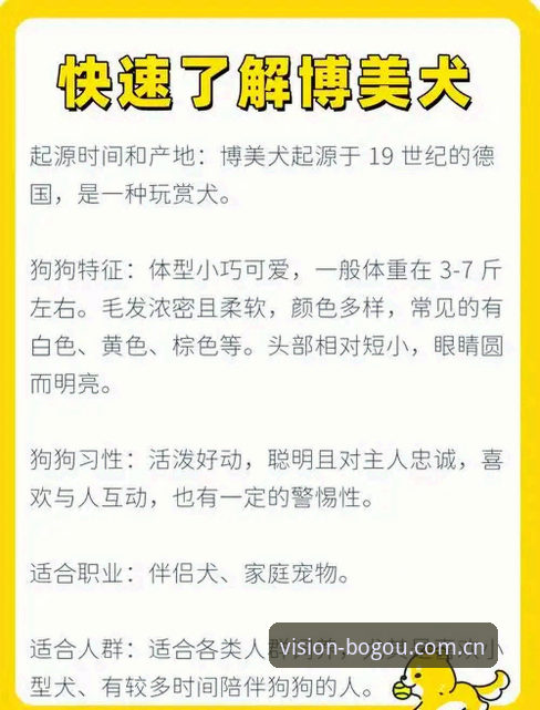 博狗BOGOU视觉升级版评测深度分析：从三次改版经验看如何避开改版雷区